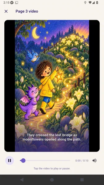 Page three video playing in the in-app preview